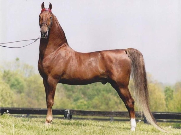 mjb-dance-with-me-big-1